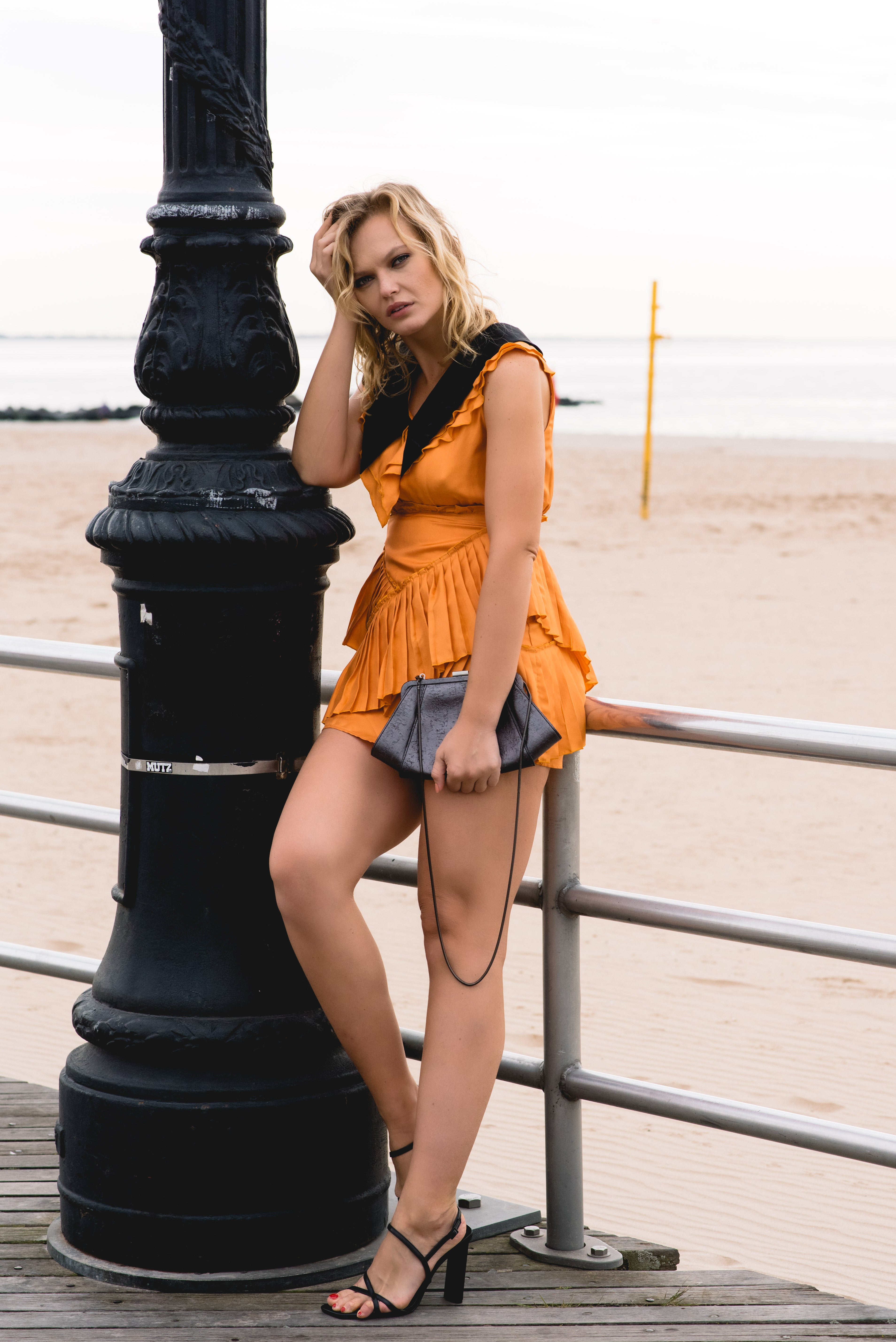 Le reussi Fashion-Camille Mini Silk Dress Detailed with delicate pleats and a black peter collar, this dress exudes elegance and refinement.