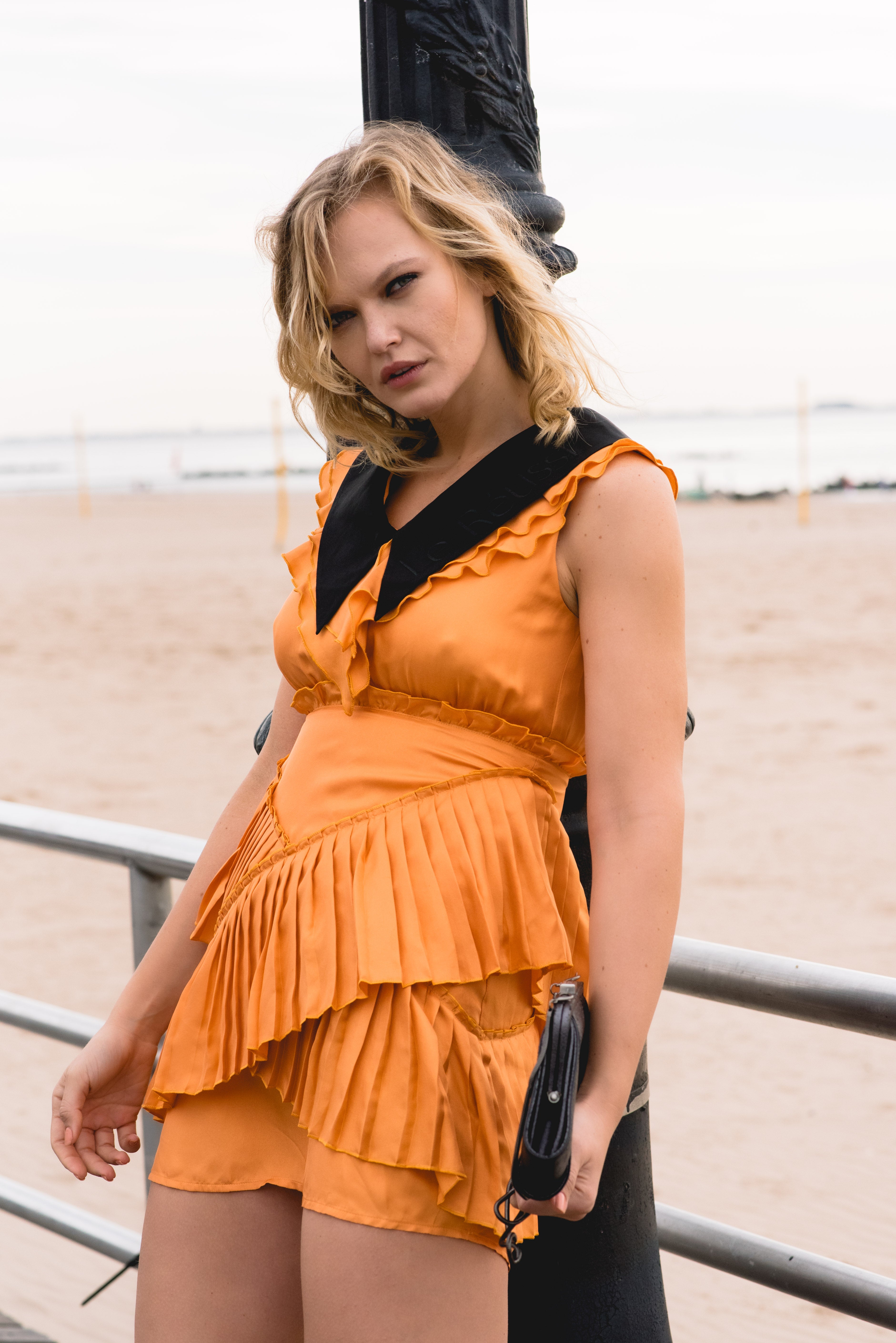 Le reussi Fashion-Camille Mini Silk Dress Detailed with delicate pleats and a black peter collar, this dress exudes elegance and refinement.